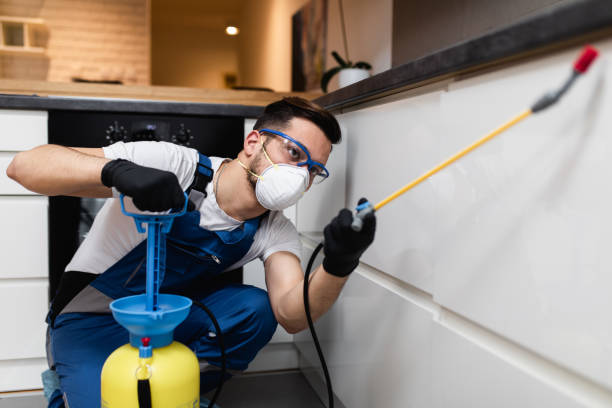 Best Best Pest Control Companies  in South Elgin, IL