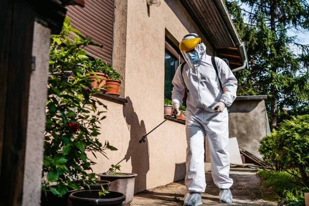 Professional Pest Control in South Elgin, IL
