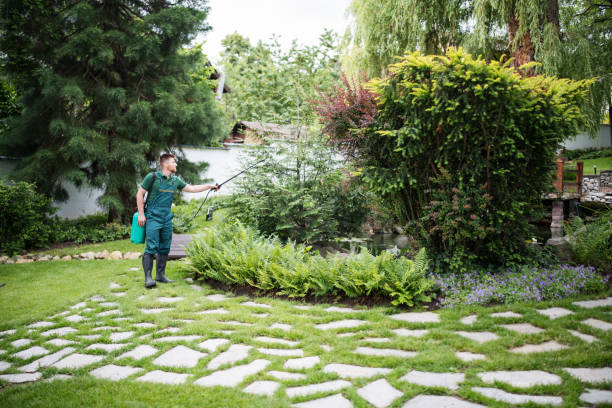 Best Affordable Pest Control Services  in South Elgin, IL