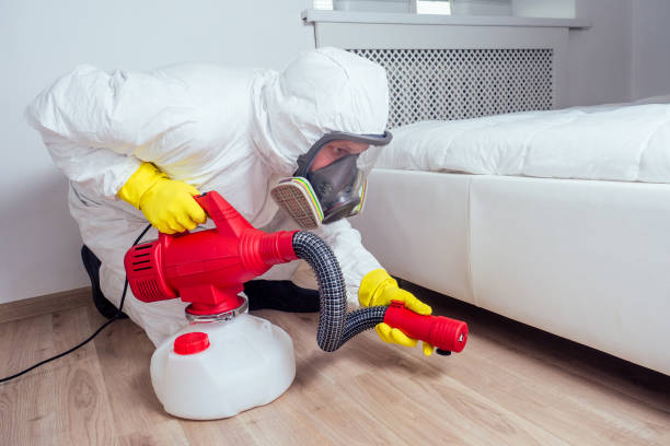 Best Wasp Removal Services  in South Elgin, IL
