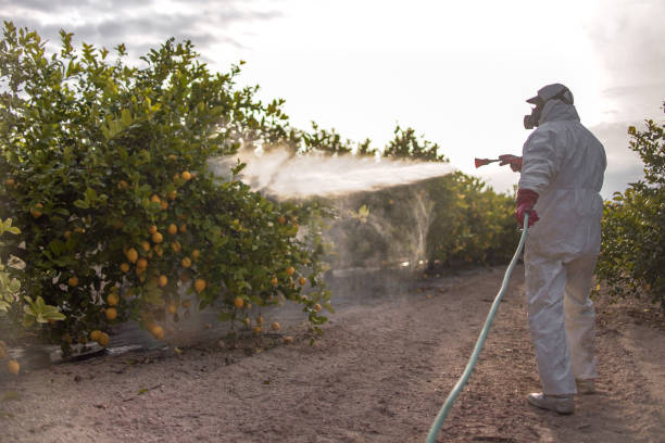 Best Pest Removal Services  in South Elgin, IL