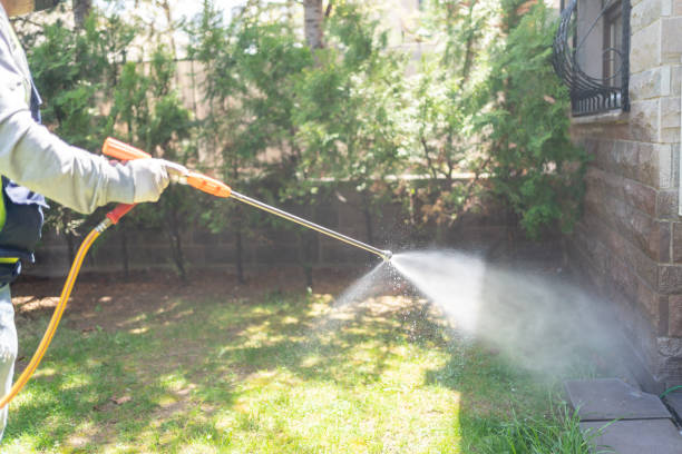 Best Pest Inspection Near Me  in South Elgin, IL