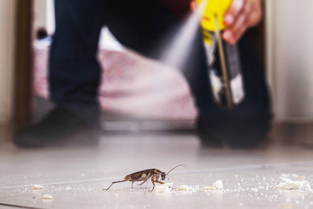 Best Pest Control Near Me  in South Elgin, IL
