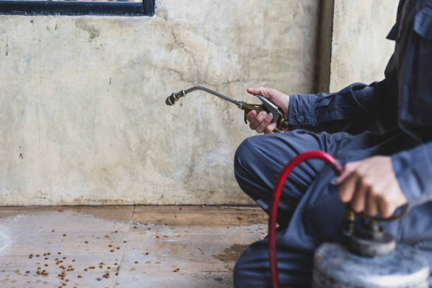Best Pest Control Treatment  in South Elgin, IL