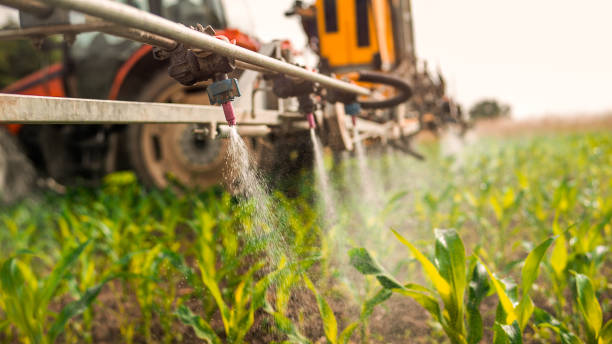 Best Ant Control Services  in South Elgin, IL